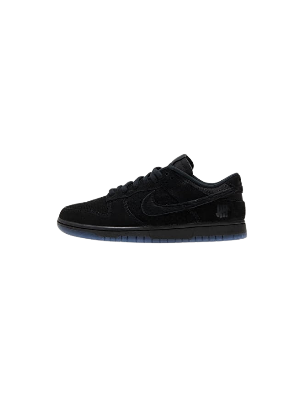 20250502_150112_0000 Nike dunk low UDFTD