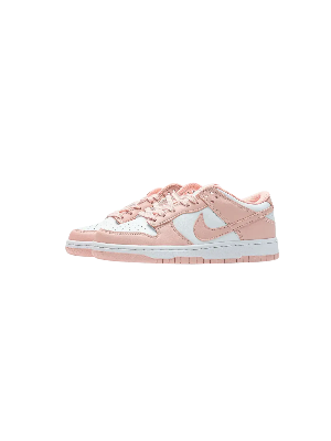 20250504_161848_0000 Nike Dunk Low Next Nature