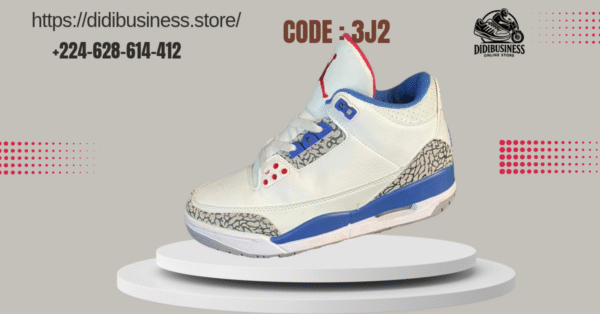 Air Jordan 3 International